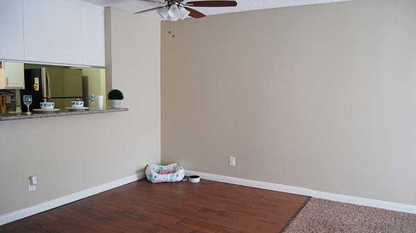 Elm Court Apartment living room