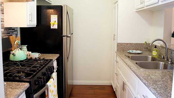 Elm Court Apartment kitchen